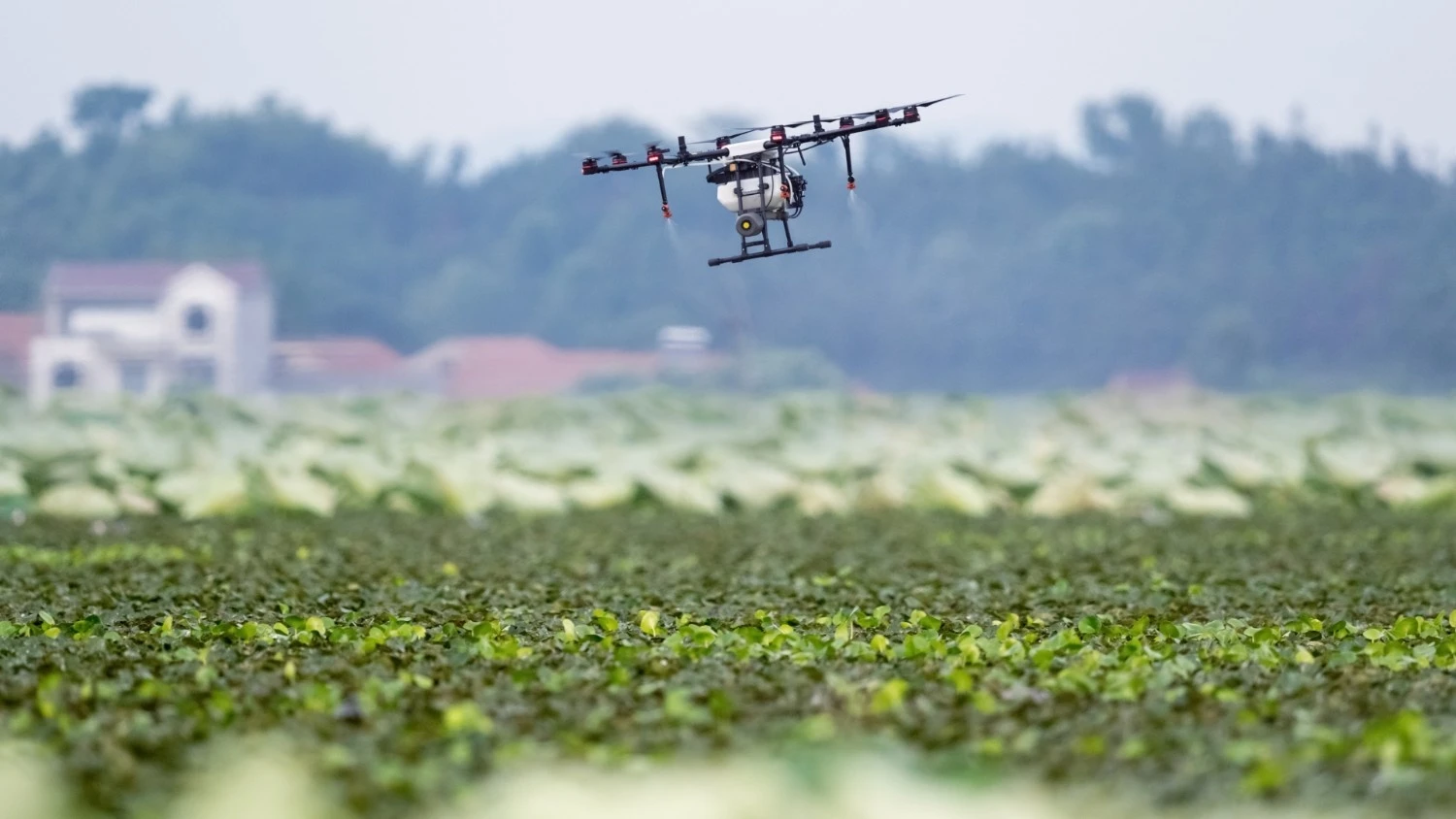 An agricultural drone flying over a field of crops.